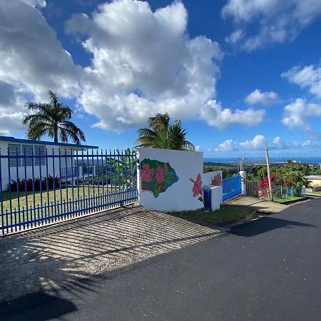 ルキリョ Million Dollar View In Puerto Ricoヴィラ エクステリア 写真