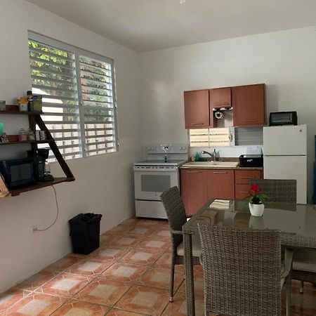 ルキリョ Million Dollar View In Puerto Ricoヴィラ エクステリア 写真