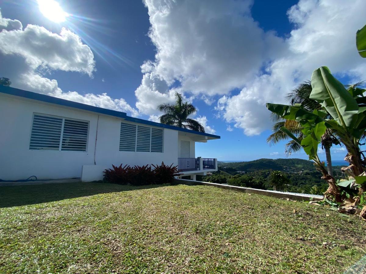 ルキリョ Million Dollar View In Puerto Ricoヴィラ エクステリア 写真