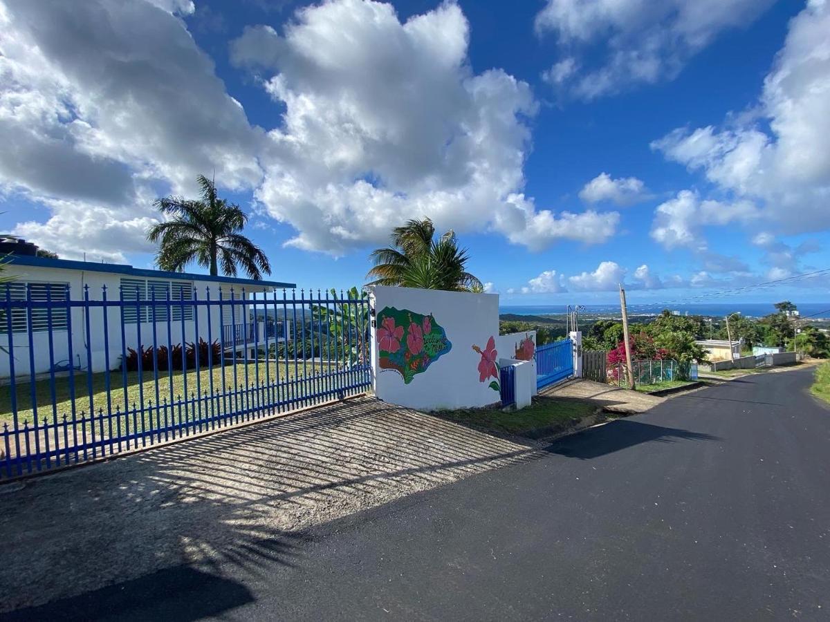 ルキリョ Million Dollar View In Puerto Ricoヴィラ エクステリア 写真