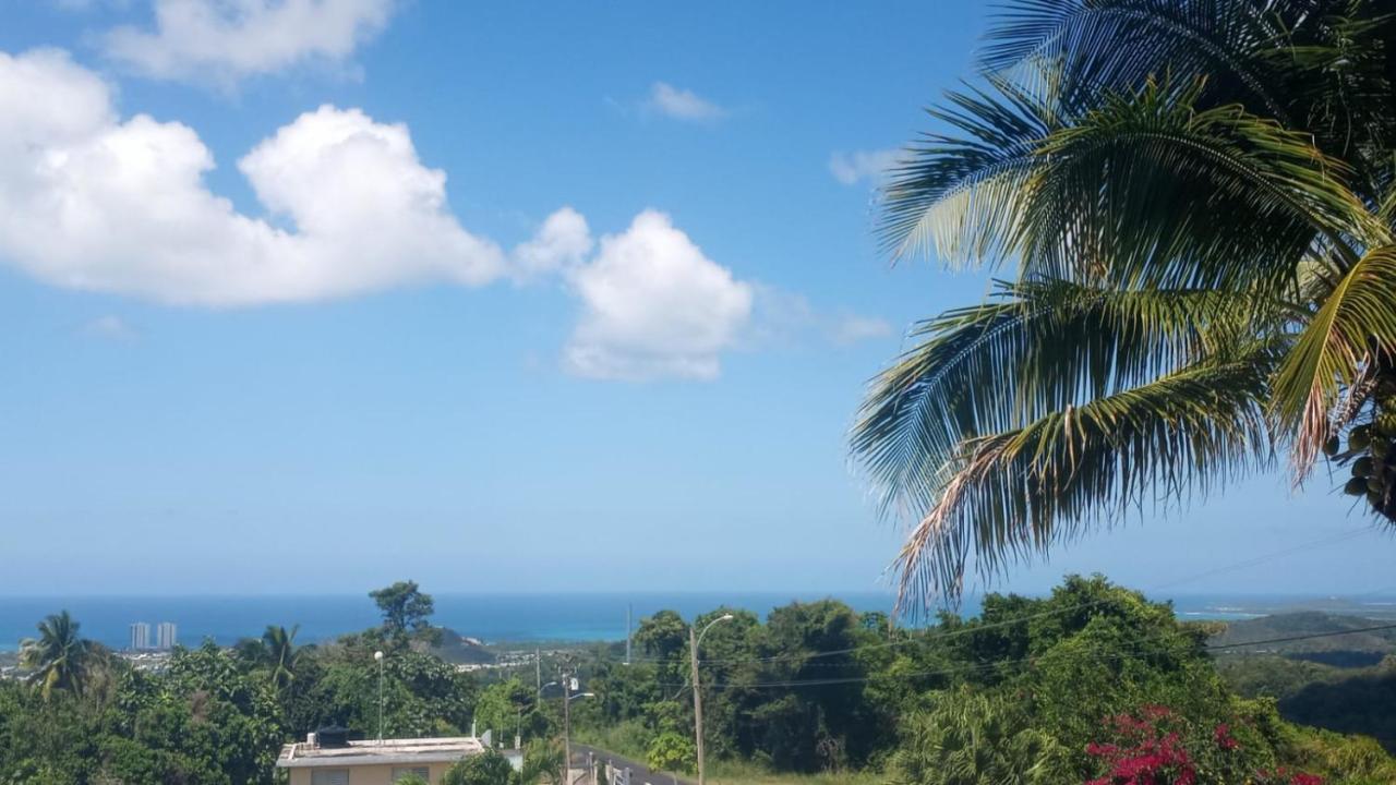 ルキリョ Million Dollar View In Puerto Ricoヴィラ エクステリア 写真