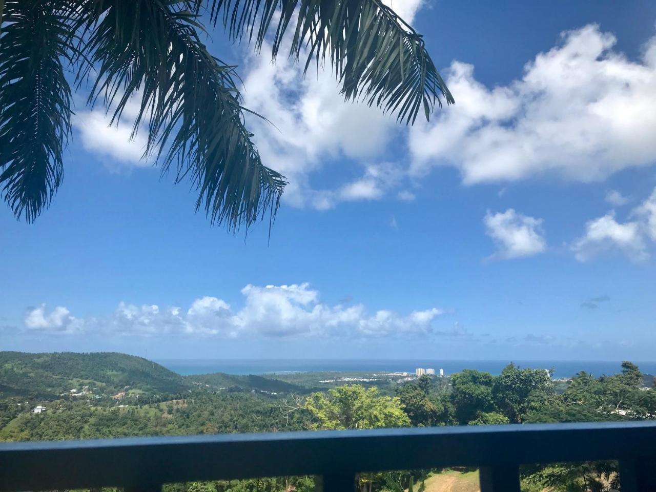 ルキリョ Million Dollar View In Puerto Ricoヴィラ エクステリア 写真