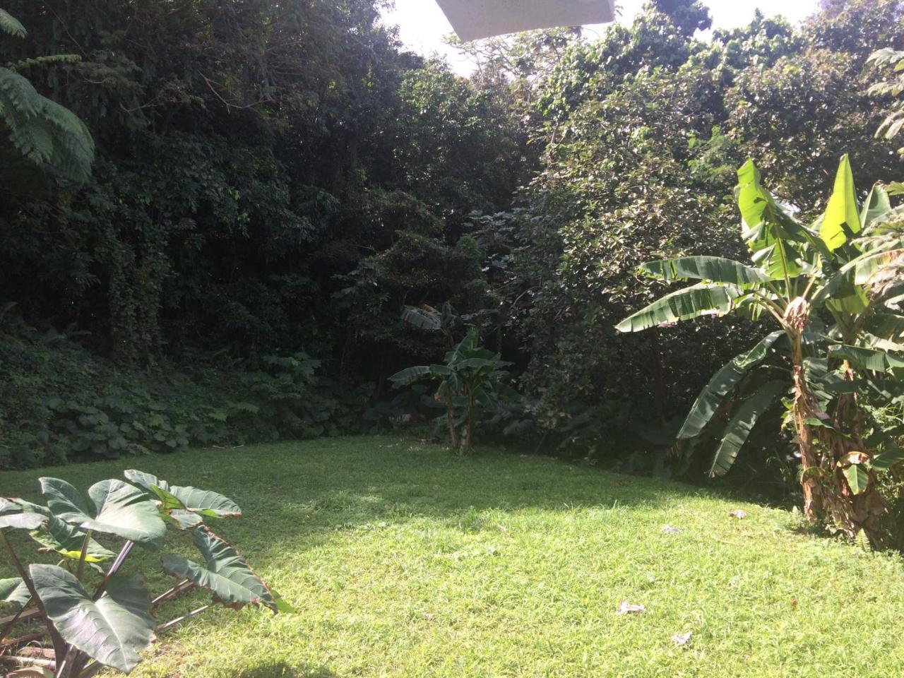 ルキリョ Million Dollar View In Puerto Ricoヴィラ エクステリア 写真