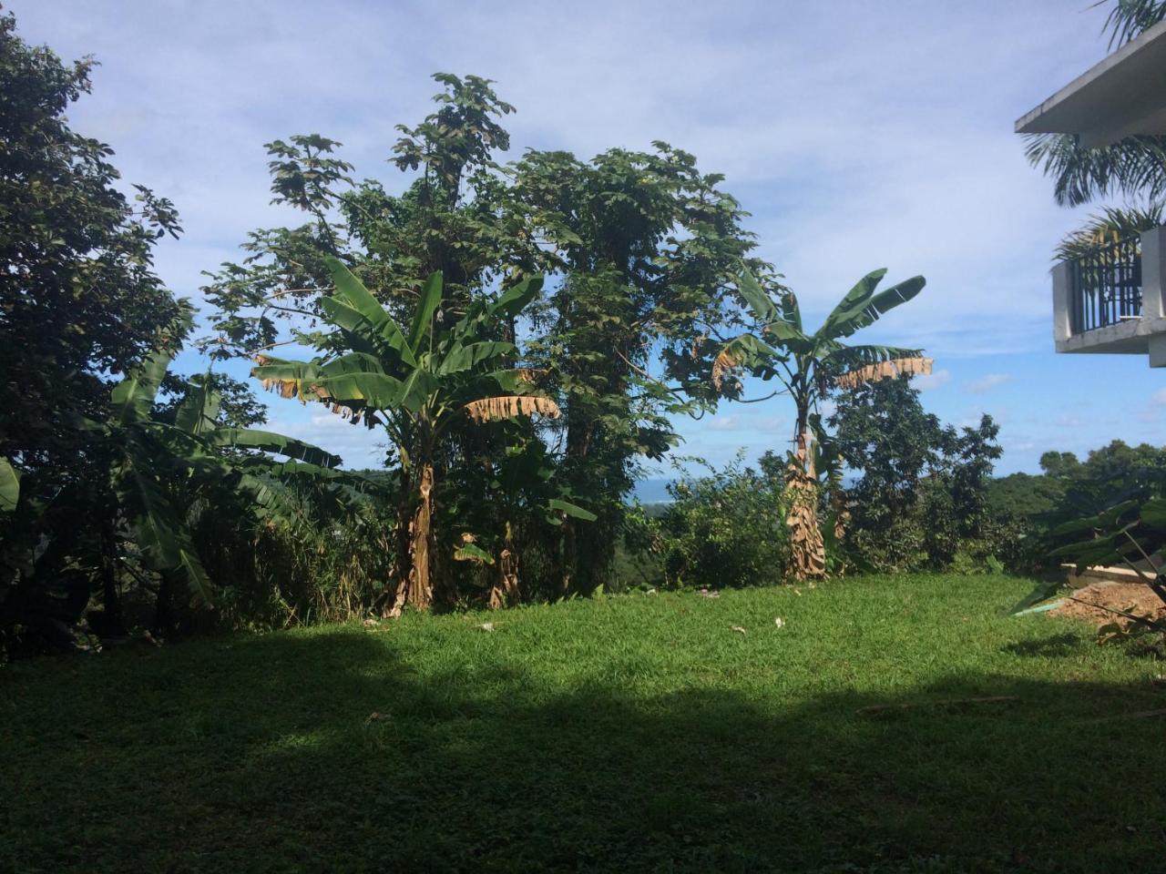 ルキリョ Million Dollar View In Puerto Ricoヴィラ エクステリア 写真